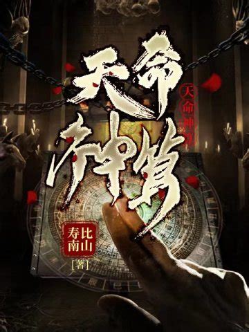 神算天神小說